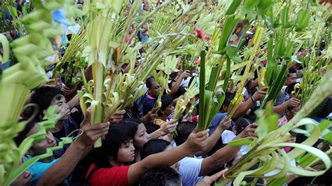 palm sunday philippines|Philippines celebrates Palm Sunday to mark start of .